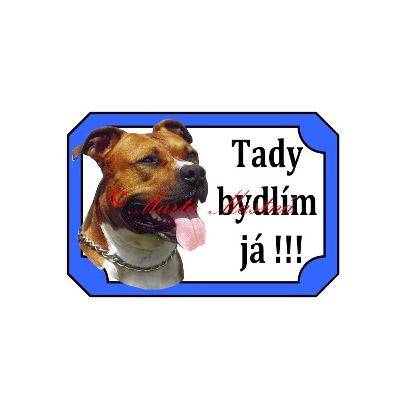 Tabulka staford, pitbul