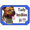Tabulka staford, pitbul