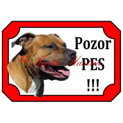 Tabulka staford, pitbul