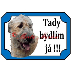 Tabulka irský vlkodav