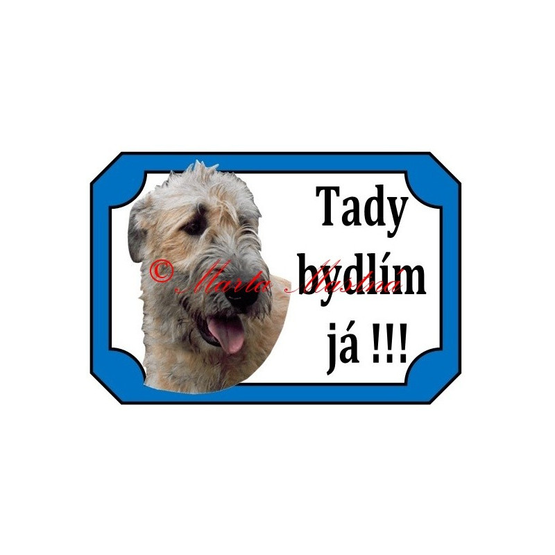 Tabulka irský vlkodav