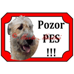 Tabulka irský vlkodav