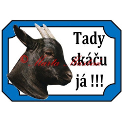 Tabulka koza kamerunská, kůzle