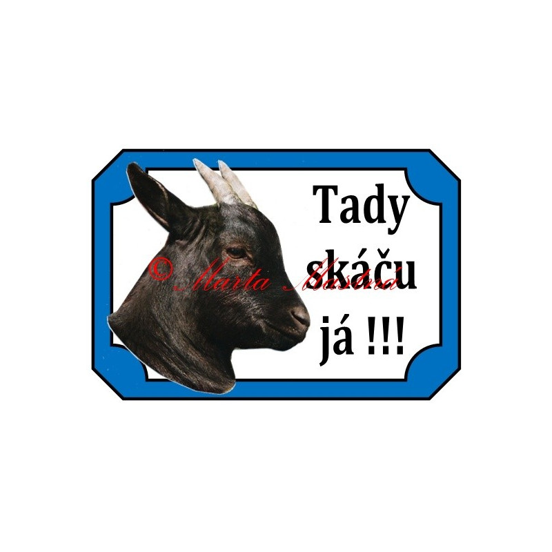 Tabulka koza kamerunská, kůzle