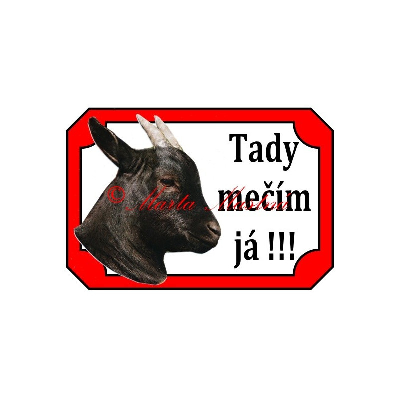 Tabulka koza kamerunská, kůzle