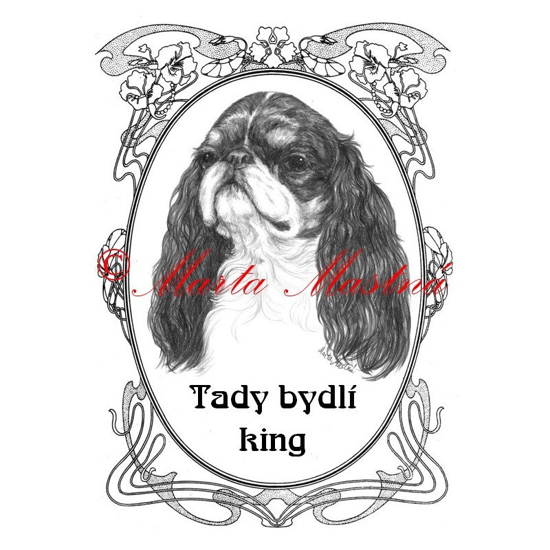 Tabulka king Charles španěl
