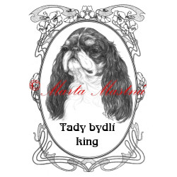 Tabulka king Charles španěl