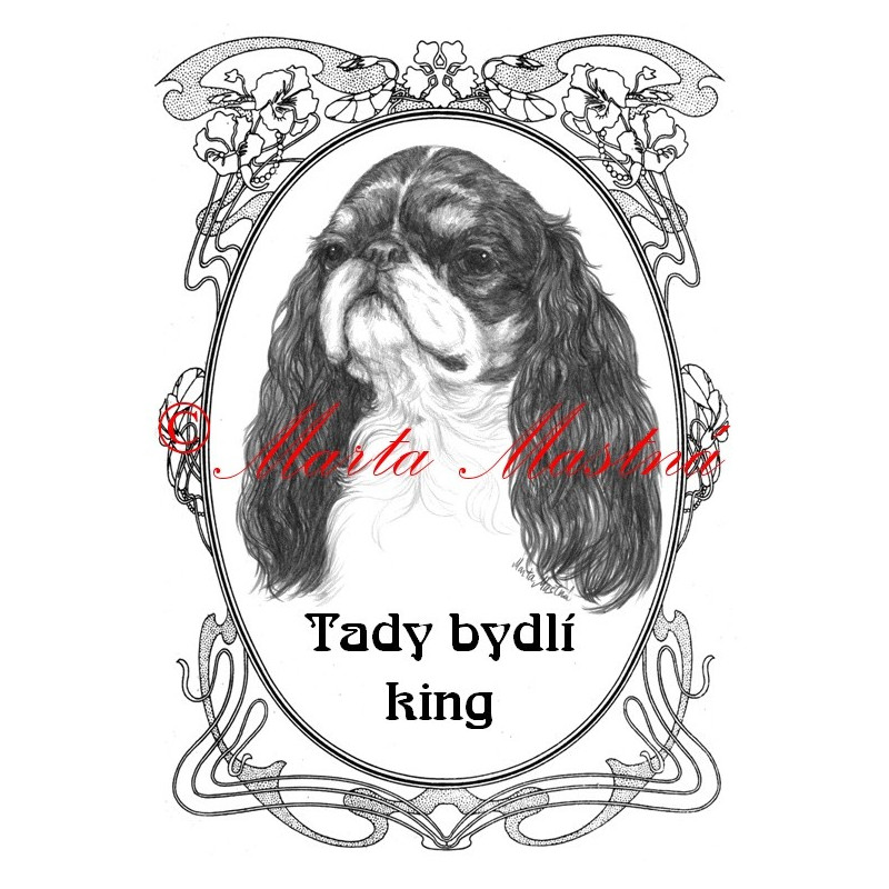 Tabulka king Charles španěl