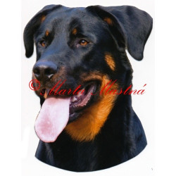 Samolepka beauceron