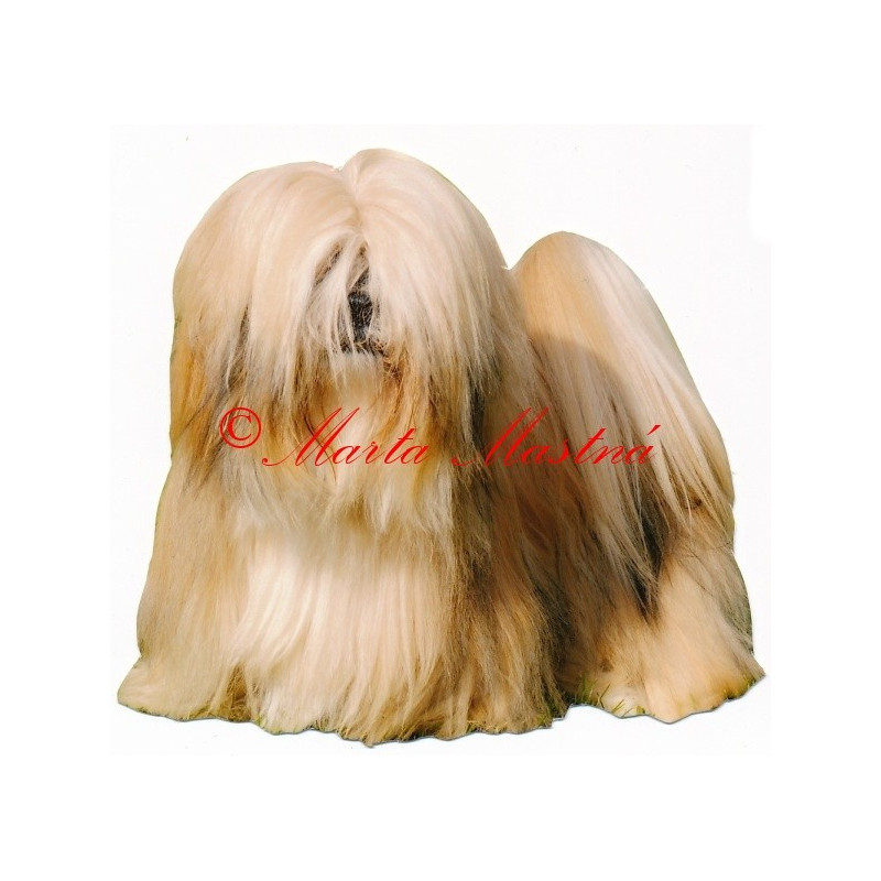 Samolepka lhasa apso