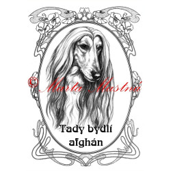 Tabulka afghánský chrt