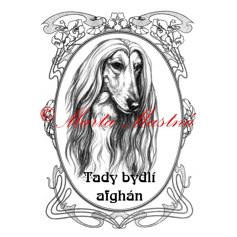 Tabulka afghánský chrt