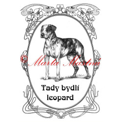 Tabulka catahoula louisiana leopard dog