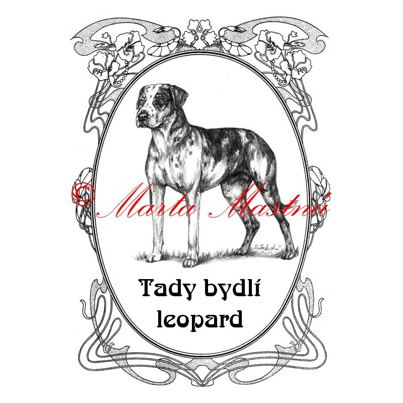 Tabulka catahoula louisiana leopard dog