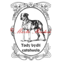 Tabulka catahoula louisiana leopard dog