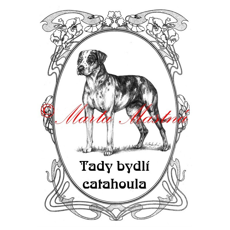 Tabulka catahoula louisiana leopard dog