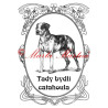 Tabulka catahoula louisiana leopard dog