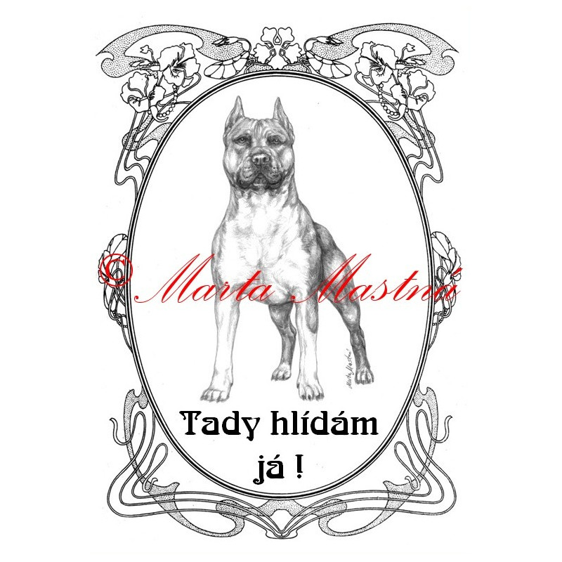 Tabulka staford, pitbul