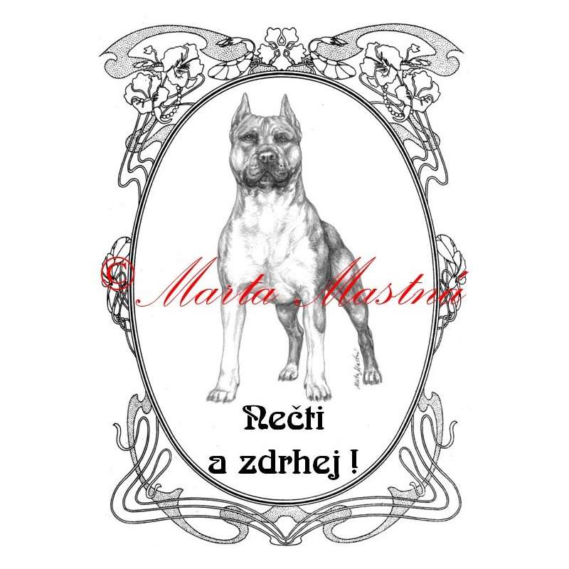 Tabulka staford, pitbul