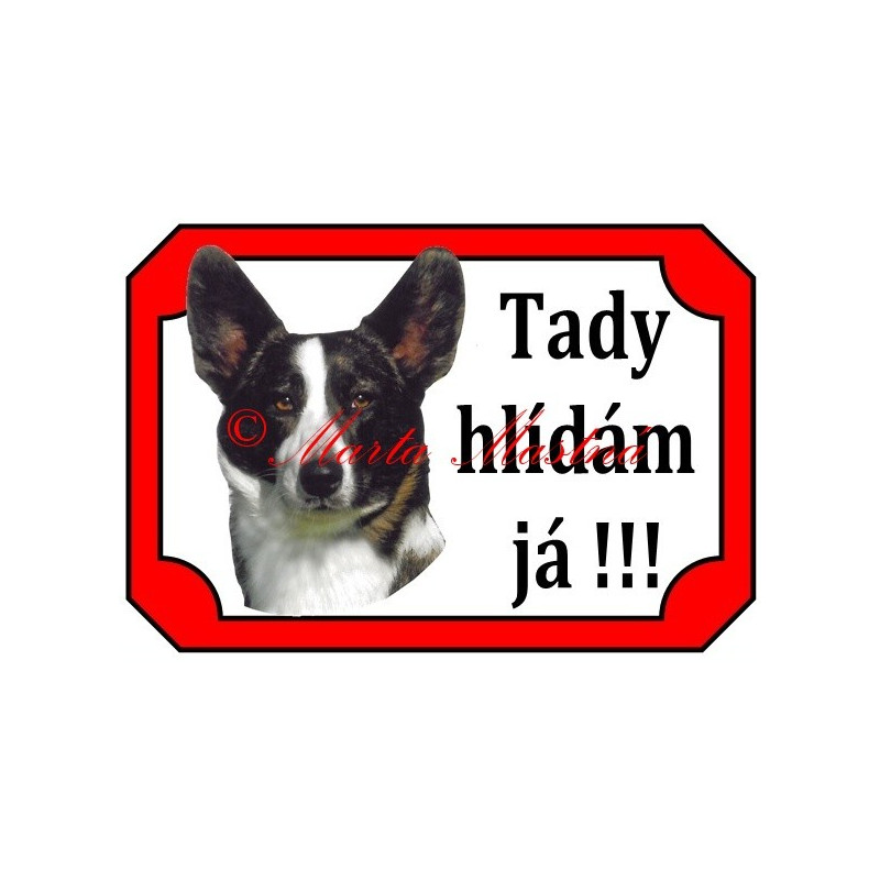 Tabulka velškorgi cardigan