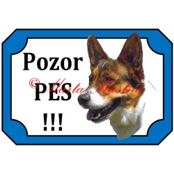 Tabulka velškorgi cardigan