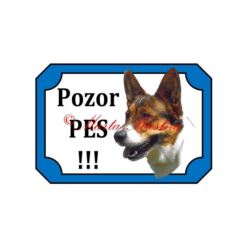 Tabulka velškorgi cardigan