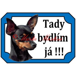 Tabulka pražský krysařík