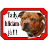 Tabulka stafordšírský bulteriér