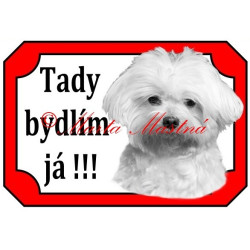 Tabulka maltézský psík stříhaný