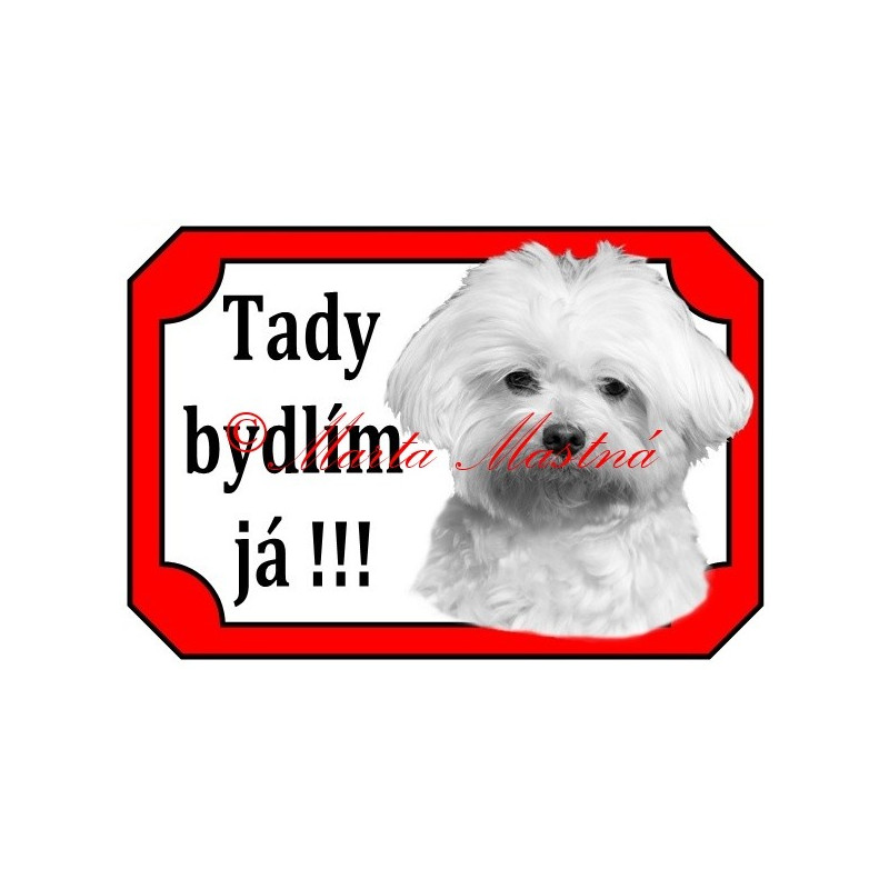 Tabulka maltézský psík stříhaný