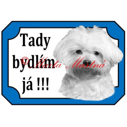 Tabulka maltézský psík stříhaný