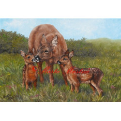 Autorský tisk srnčí zvěř