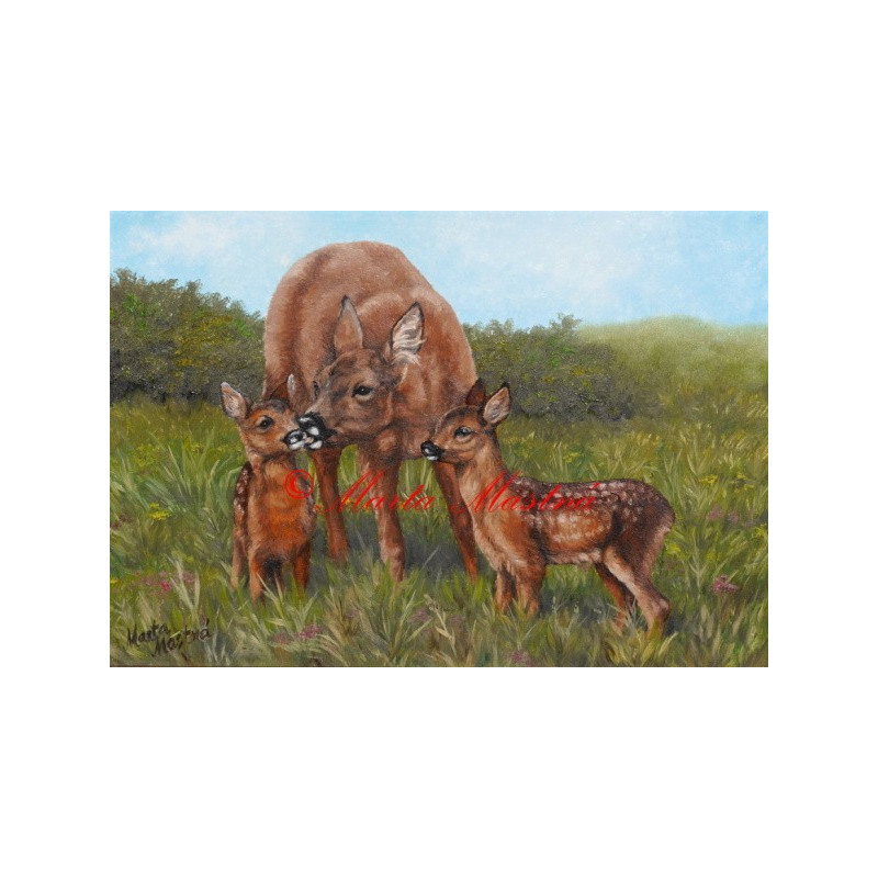 Autorský tisk srnčí zvěř