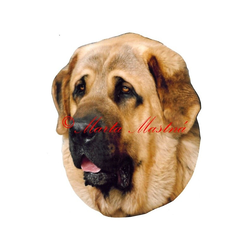 Samolepka španělský mastin