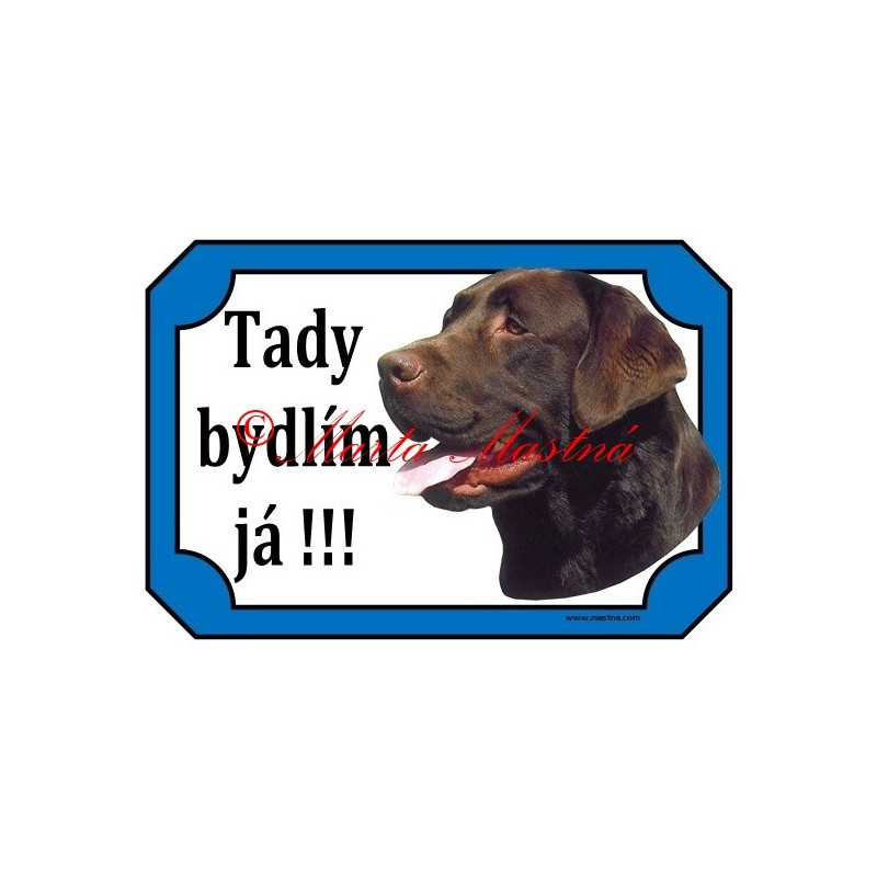 Tabulka labrador retrívr hnědý