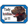 Tabulka labrador retrívr hnědý