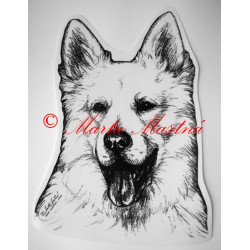 Švýcarský bílý ovčák