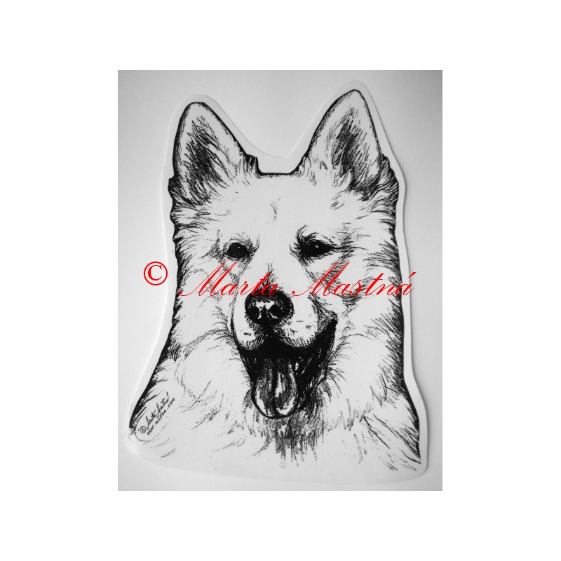 Švýcarský bílý ovčák