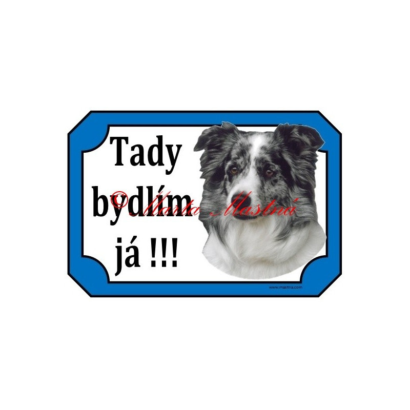 Tabulky border kolie