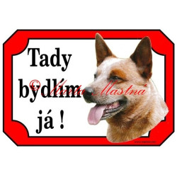 Tabulky australský honácký pes