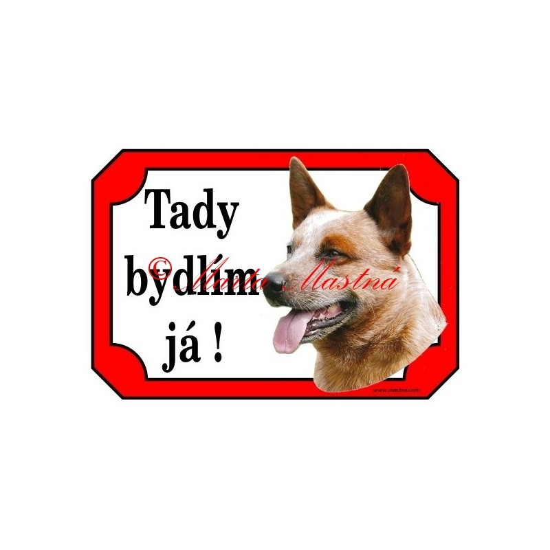 Tabulky australský honácký pes