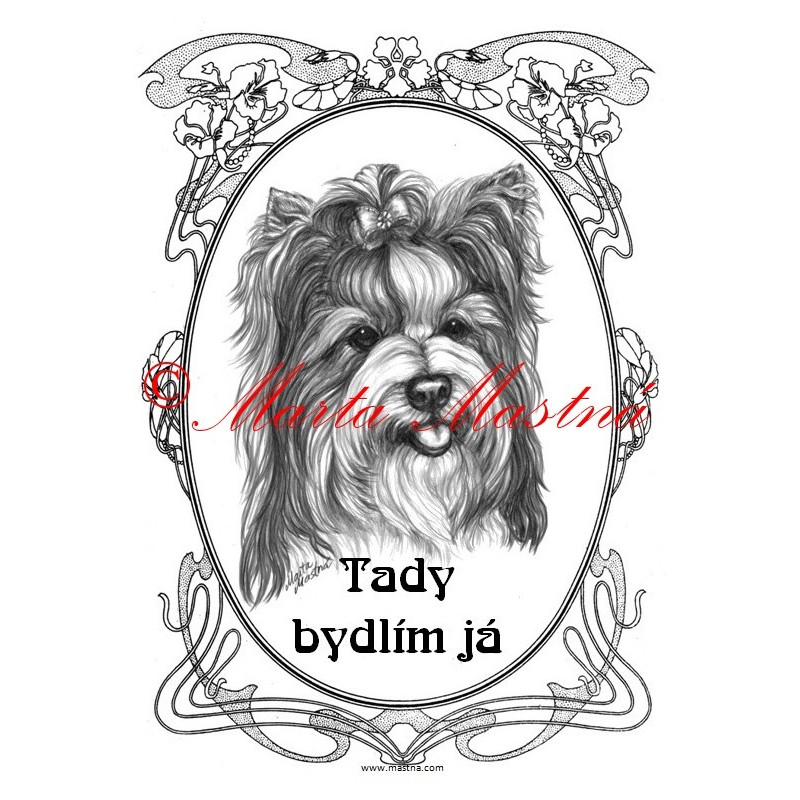 Tabulka jorkšír, biewer