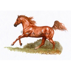 Autorský tisk arabský plnokrevník