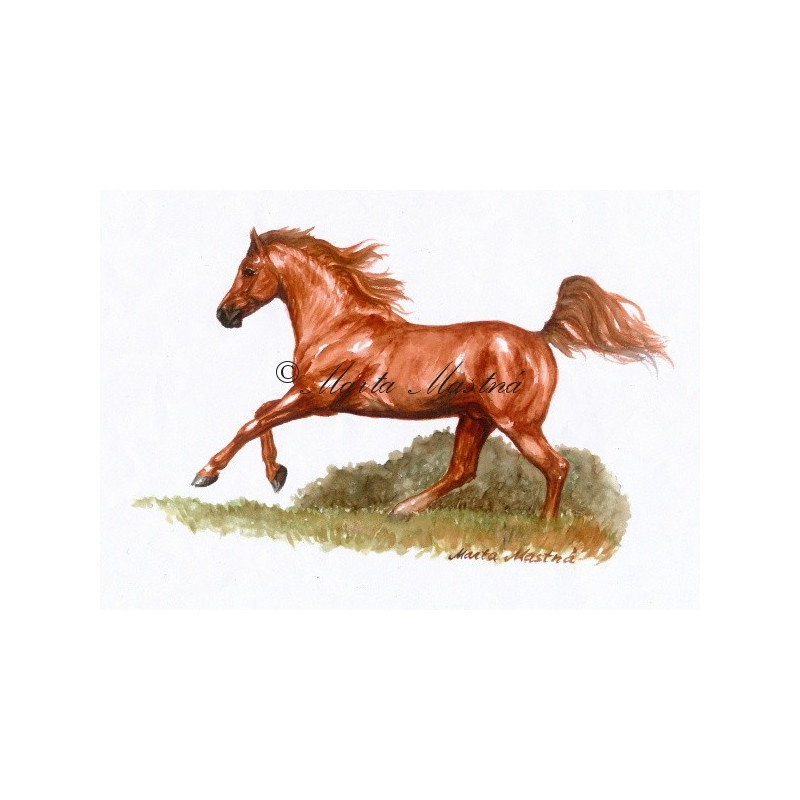 Autorský tisk arabský plnokrevník
