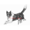 Autorský tisk border kolie agility
