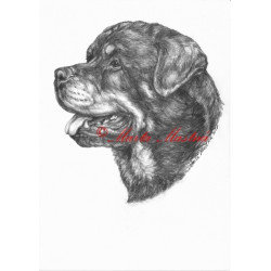 Autorský tisk rotvajler