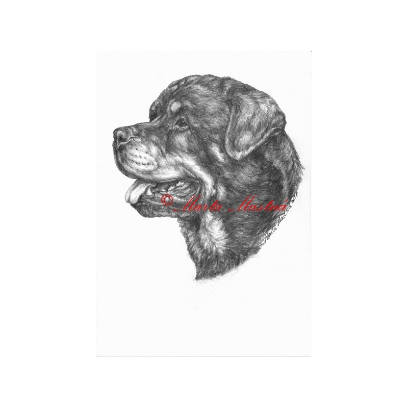 Autorský tisk rotvajler