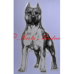 Samolepka americký stafordšírský teriér - dvě velikosti