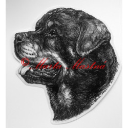 Samolepka rotvajler - dvě velikosti