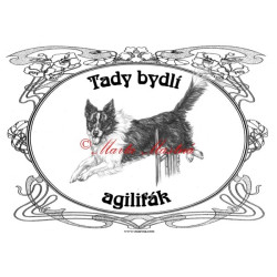 Tabulka border kolie agility